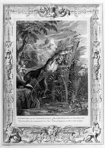 Pan Pursues Syrinx Who is Transformed into a Reed