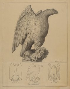 Eagle by Bernard Westmacott