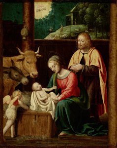The Birth of Christ by Bernardino Luini