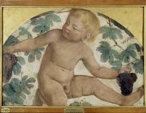 Harvesting Putti - Putto under a Pergola, c.1514