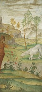 Procris and the Unicorn