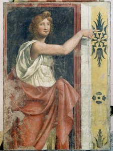 Sibyl