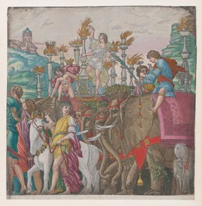 Elephants, from The Triumph of Julius Caesar