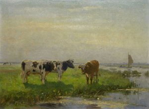 Cows in the Meadow