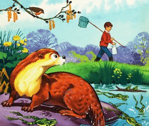 Fliptail the Otter