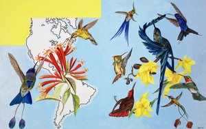 Birds