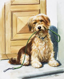 Dog holding lead in its mouth