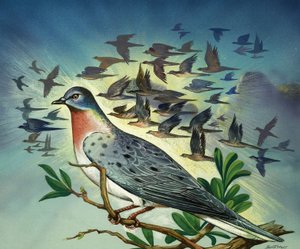 Passenger Pigeons