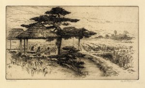 Iris Garden by Bertha E. Jaques