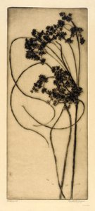 Woolgrass by Bertha E. Jaques