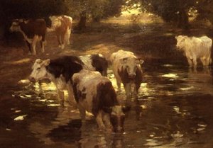 The Watering Spot