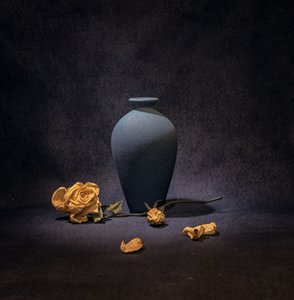 Dark Blue Rose Still Life