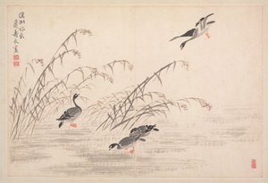 Album of Calligraphy and Paintings