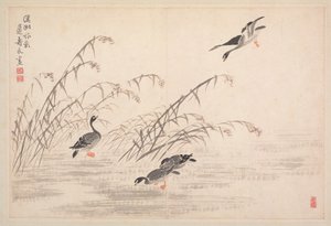 Album of Calligraphy and Paintings