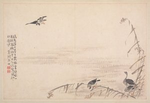 Album of Calligraphy and Paintings, 18th Century
