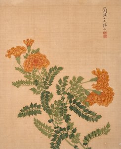 Album of Flowers