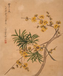 Album of Flowers