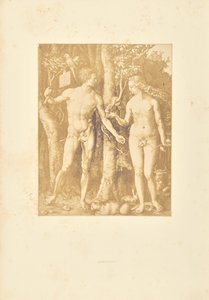 Adam and Eve by Bisson Frères