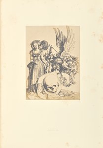The Coat of Arms with a Skull