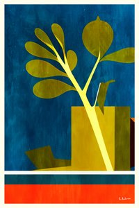 Geometric Plant Still Life