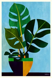 Modern Potted Monstera