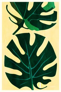 Tropical Monstera Leaves