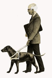Guide Dog for the Blind