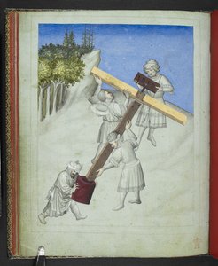 The assembly of Christ