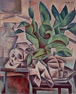 Still life showing skull