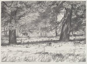 Two Maples