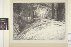 Rocks And Trees