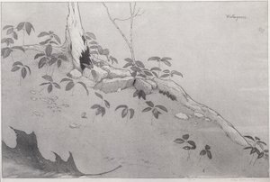 Winter-Greens by Bolton Coit Brown