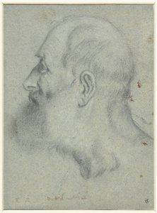 Head of a Bearded Man in Profile to the Left