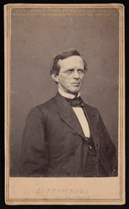 Portrait of Lyman Trumbull