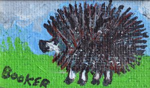 Hedgehog by Brenda Brin Booker