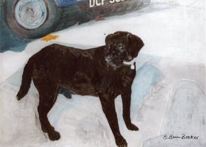 Rex in the Morning at the Used Car Lot by Brenda Brin Booker