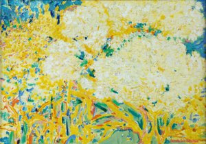 The Elderflower Tree