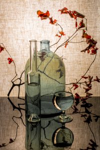 Autumn Glass Still Life by Brig Barkow