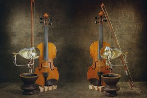 Concert by Brig Barkow
