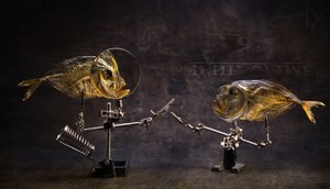 Curious Fish Conversation by Brig Barkow