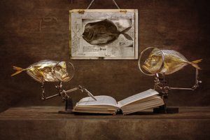 Curious Fish Scholars by Brig Barkow