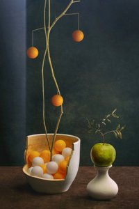 Elegant Fruit Still Life by Brig Barkow