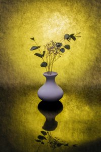 Golden Floral Reflection by Brig Barkow