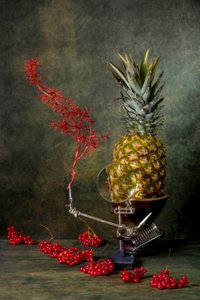 Magnified Pineapple Still Life by Brig Barkow