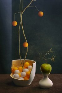Modern Fruit Arrangement by Brig Barkow