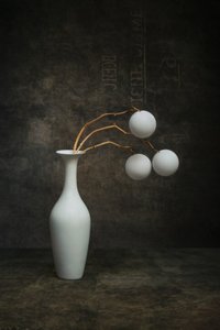 Organic White Still Life by Brig Barkow