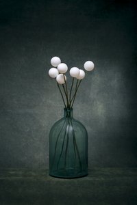 Serene Green Bottle Still Life by Brig Barkow