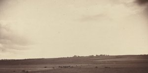 View of Fields with Cows by British 19th Century