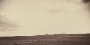 View of Fields with Cows, 1850s-1860s by British Photographer