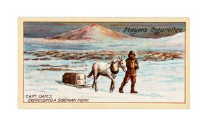 Capt. L.E.G. Oates Exercising a Siberian Pony on the Sea-Ice off Cape Evans by British School